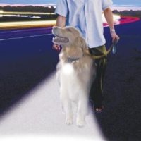 Köpek