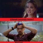 gitmek zorunda mısın (2)