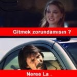 gitmek zorunda mısın (3)