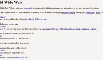 dunyanin-ilk-web-sitesi