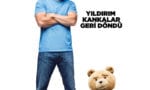 ayi-teddy-2