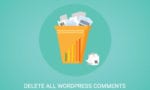 deletecommentswp