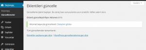 eklenti-guncellendi