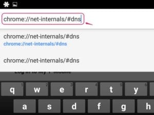 Google Chrome'da DNS Önbellek TemizleGoogle Chrome'da DNS Önbellek Temizle