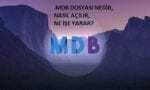 MDB dosyası örneği