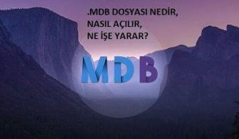 MDB dosyası örneği