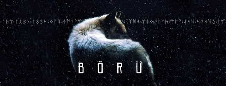 börü - Sinekritik: Börü