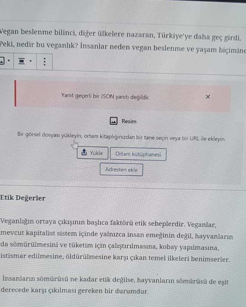 Arkadaşımın bana gönderdiği  yanıt geçerli bir json yanıtı değildir hatası görseli. Kendi çözemedi. ama bu yazı çözdü. :)