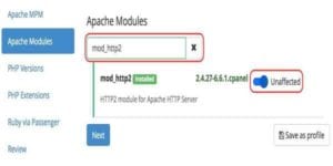 HTTP2 modülünü Apache Modülleri içerisinde aktif hale getirmeniz gerekiyor. HTTP2 nasıl etkinleştirilir cevabı bu şekilde olacak.