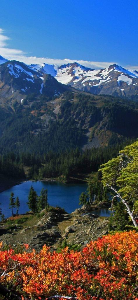 samsung galaxy m20 wallpaper ekran 10 - Samsung Galaxy M20 Wallpapers Duvar Kağıdı