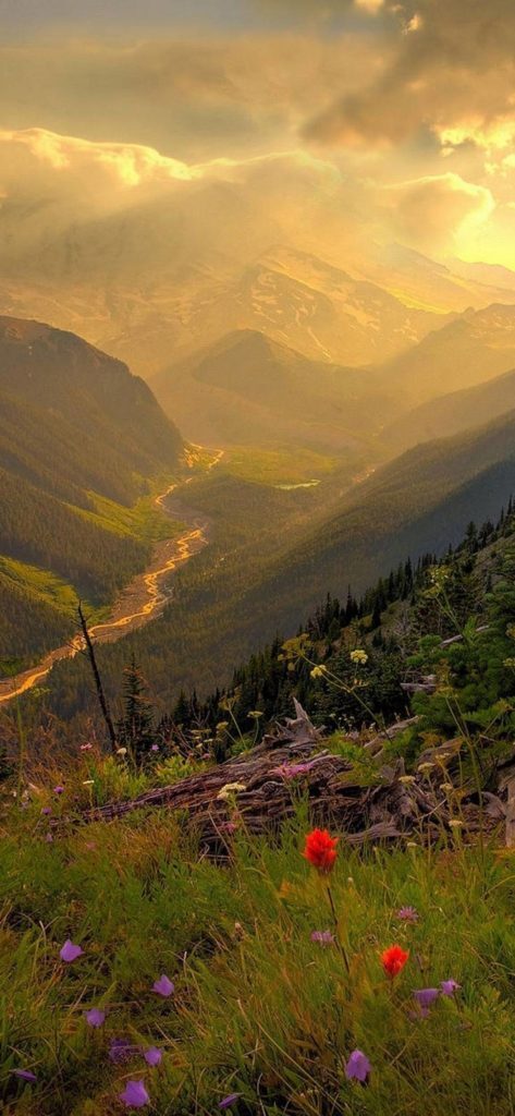 samsung galaxy m20 wallpaper ekran 11 - Samsung Galaxy M20 Wallpapers Duvar Kağıdı