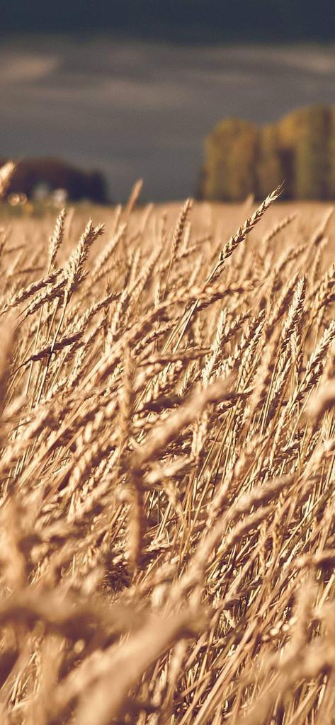 samsung galaxy m20 wallpaper ekran 5 - Samsung Galaxy M20 Wallpapers Duvar Kağıdı