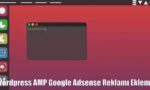 Wordpress AMP Google Adsense