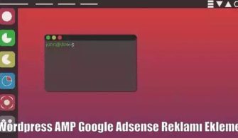 Wordpress AMP Google Adsense
