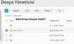 Well-Know ne işe yarar?