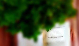 İnsana Ne Kadar Toprak Lazım