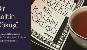 Bir Kalbin Çöküşü